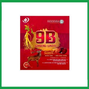 9B Ginseng Linzhi Vinaphar bổ sung dưỡng chất, giúp ăn ngon, hỗ trợ nâng cao sức đề kháng cơ thể (Hộp 100 viên)