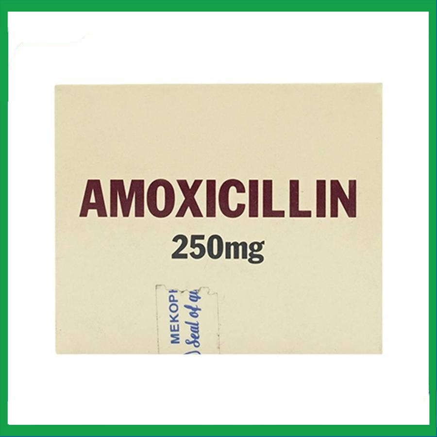 Amoxicillin-250mg-Mekophar-3-1.jpg Nhà Thuốc Đa Phúc - Amoxicillin 250mg Mekophar 3 1