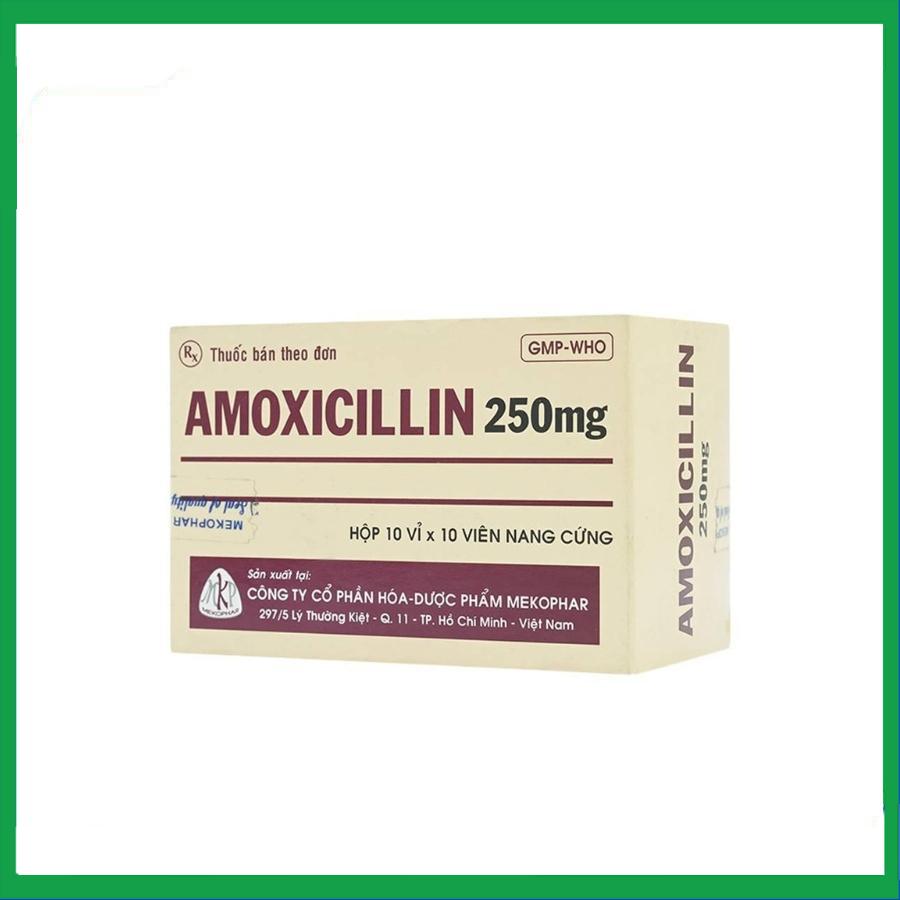 Amoxicillin-250mg-Mekophar.jpg Nhà Thuốc Đa Phúc - Amoxicillin 250mg Mekophar