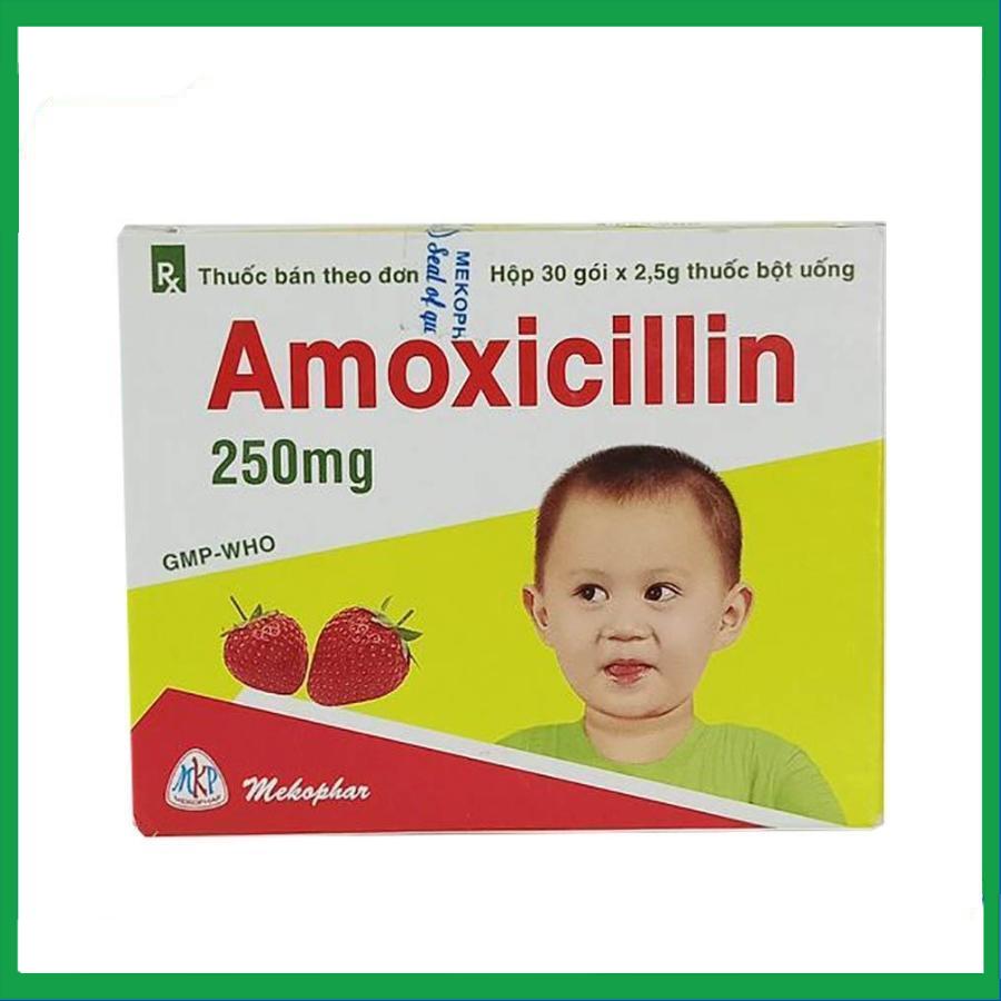 Amoxicillin-250mg-goi.jpg Nhà Thuốc Đa Phúc - Amoxicillin 250mg goi