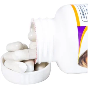 Nhà Thuốc Đa Phúc - BoniDiabet 3