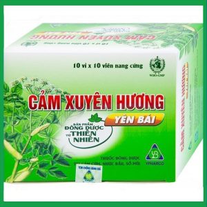 Thuốc Cảm Xuyên Hương điều trị cảm cúm, cảm lạnh