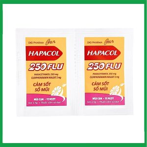 Nhà Thuốc Đa Phúc - Hapacol 250 Flu 1