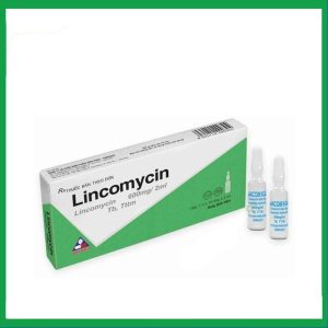 Dung dịch tiêm Lincomycin 600mg/2ml Vinphaco trị nhiễm khuẩn xương, phụ khoa (1 vỉ x 10 ống)