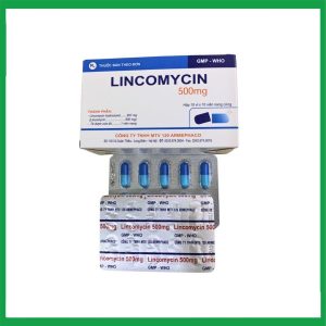 Nhà Thuốc Đa Phúc - Thuốc kháng sinh LINCOMYCIN 500mg (Armephaco) điều trị nhiễm khuẩn hộp 10 vỉ x 10 viên 2 Nhà Thuốc Đa Phúc - Lincomycin 500mg Armephaco 1