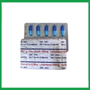 Nhà Thuốc Đa Phúc - Thuốc kháng sinh LINCOMYCIN 500mg (Armephaco) điều trị nhiễm khuẩn hộp 10 vỉ x 10 viên 1 Nhà Thuốc Đa Phúc - Lincomycin 500mg Armephaco 2