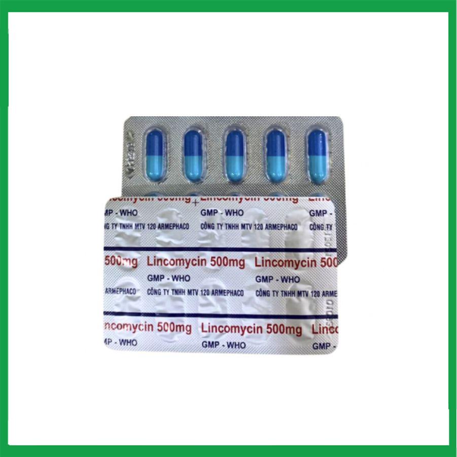 Lincomycin-500mg-Armephaco-2.jpg Nhà Thuốc Đa Phúc - Lincomycin 500mg Armephaco 2