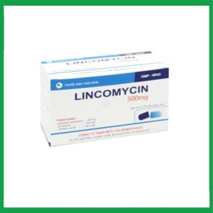 Thuốc kháng sinh LINCOMYCIN 500mg (Armephaco) điều trị nhiễm khuẩn hộp 10 vỉ x 10 viên