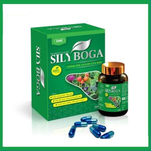 Sily boga- Hỗ trợ chăm sóc lá gan khỏe mạnh
