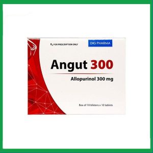 Nhà Thuốc Đa Phúc - Thuốc Angut 300mg DHG giảm sự hình thành acid uric, điều trị sỏi thận (10 vỉ x 10 viên) 2 Nhà Thuốc Đa Phúc - Smart pharma 2024 11 29T200413.458