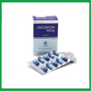 Thuốc kháng sinh Lincomycin 500mg Pharbaco điều trị nhiễm khuẩn ( Hộp 10 vỉ x 10 viên)