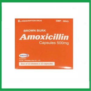 Nhà Thuốc Đa Phúc - Thuốc Amoxicillin 500mg Brown Burk điều trị nhiễm khuẩn (10 vỉ x 10 viên) 1 Nhà Thuốc Đa Phúc - Smart pharma 2025 01 02T155431.440