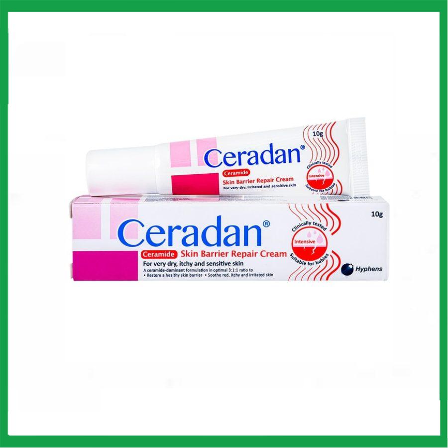 Smart-pharma-2025-01-10T123138.298.jpg Nhà Thuốc Đa Phúc - Smart pharma 2025 01 10T123138.298