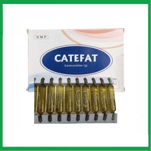Nhà Thuốc Đa Phúc - Dung dịch uống Catefat Cho-A điều trị đau thắt ngực, nhồi máu cơ tim ( Hộp 20 ống) 1 Nhà Thuốc Đa Phúc - Smart pharma 2025 03 29T173507.179