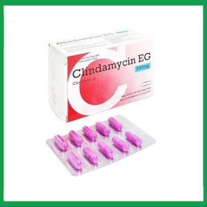 Thuốc Clindamycin EG 300mg Pymepharco điều trị các bệnh nhiễm khuẩn (10 vỉ x 10 viên)