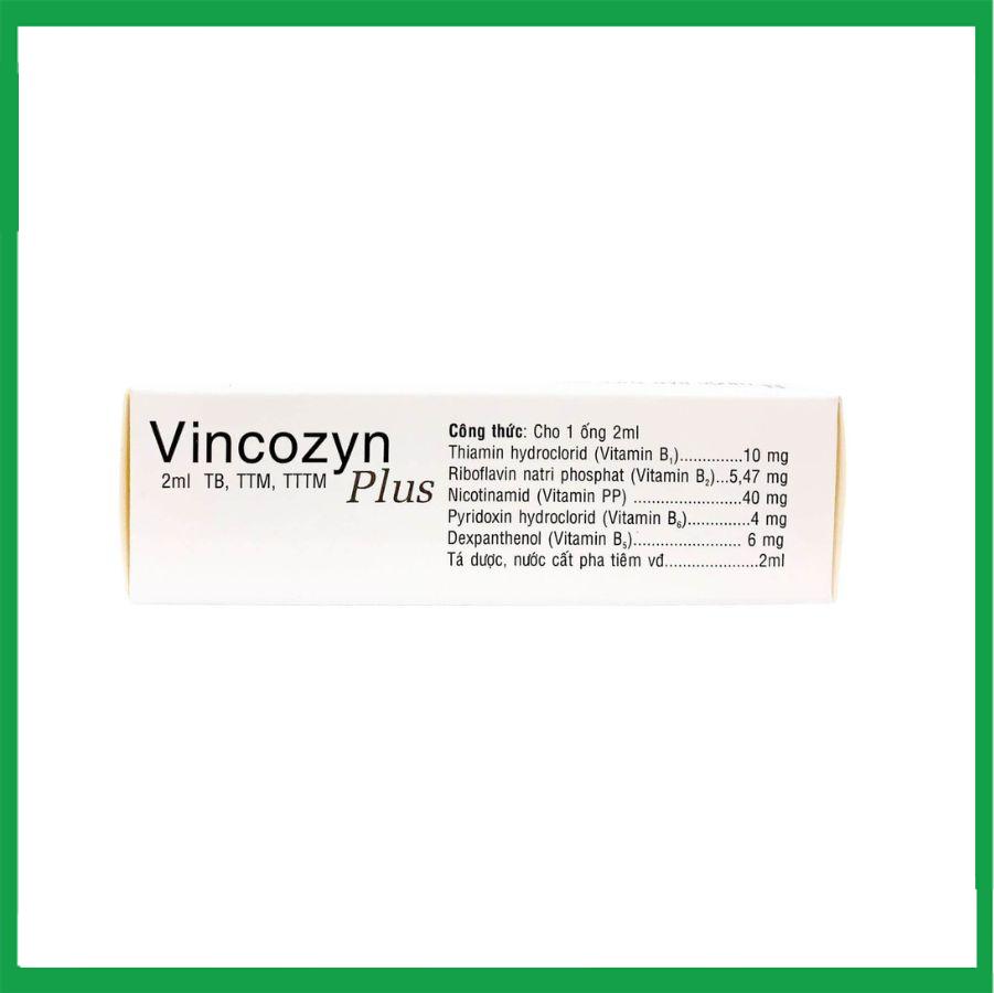 Vincozyn-plus-1vi-x10-ong-2.jpg Nhà Thuốc Đa Phúc - Vincozyn plus 1vi x10 ong 2
