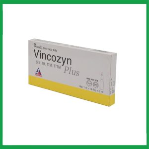 Dung dịch Vincozyn Plus Vinphaco phòng ngừa và điều trị các bệnh thiếu Vitamin B (Hộp 1 vỉ x 10 ống x 2ml )