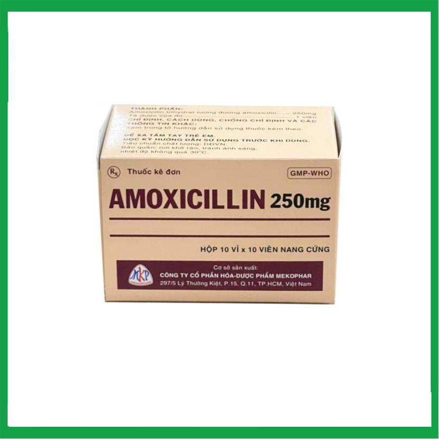 amoxicillin.-2-1.jpg Nhà Thuốc Đa Phúc - amoxicillin. 2 1