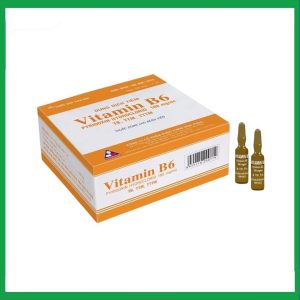 Nhà Thuốc Đa Phúc - Thuốc tiêm Vitamin B6 100Mg/Ml Vinphaco điều trị thiếu vitamin B6 (100 ống x 1ml) 4 Nhà Thuốc Đa Phúc - fb 2 2024 07 05T144916.066