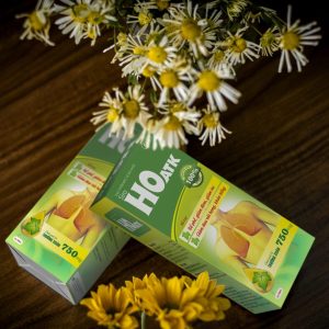 Nhà Thuốc Đa Phúc - sam cau scaled copy